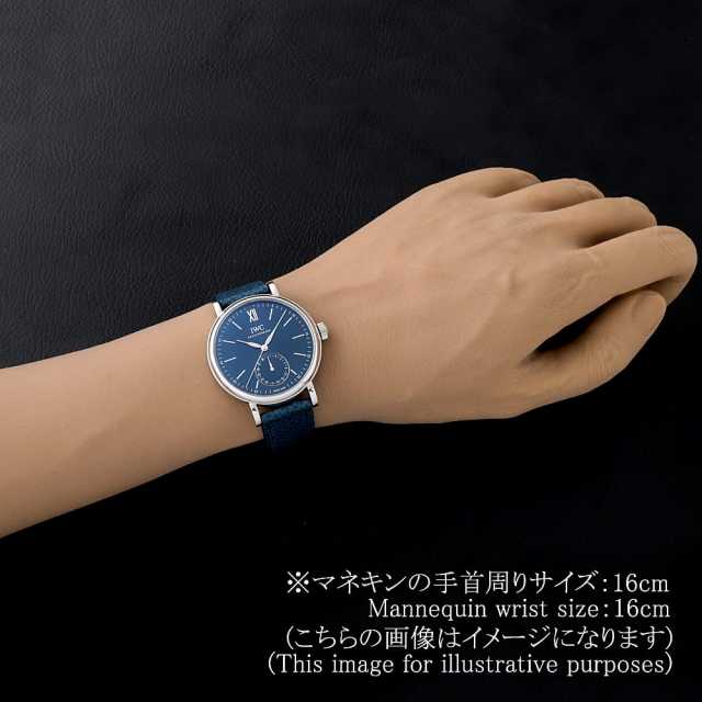 IWC ポートフィノ オートマティック ポインターデイト オーレウス スポーツ フォー グッド 世界限定500本 IW359202 未使用 メンズ