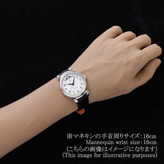 IWC ダ・ヴィンチ オートマティック ムーンフェイズ IW459306 中古 メンズ 商品画像 6