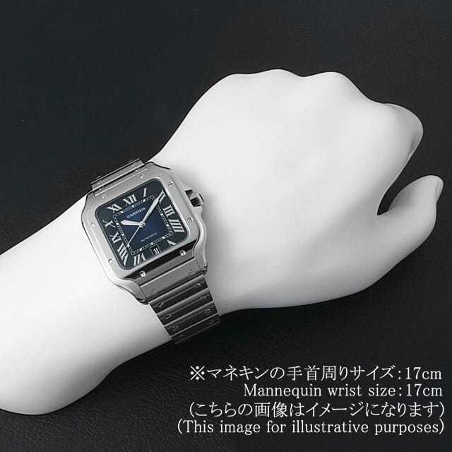 カルティエ サントス ドゥ カルテイエ LM WSSA0030 中古 メンズ 商品画像 6