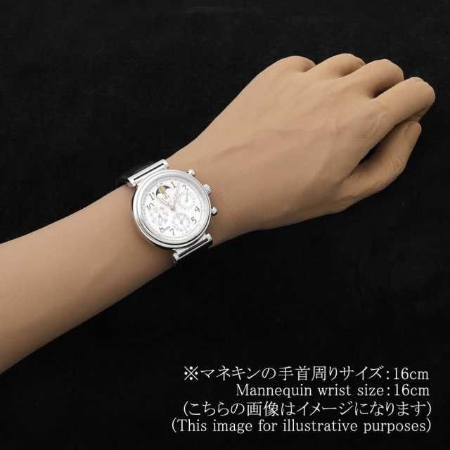 IWC ダ・ヴィンチ パーペチュアルカレンダー クロノグラフ IW375803 中古 メンズ 商品画像 6