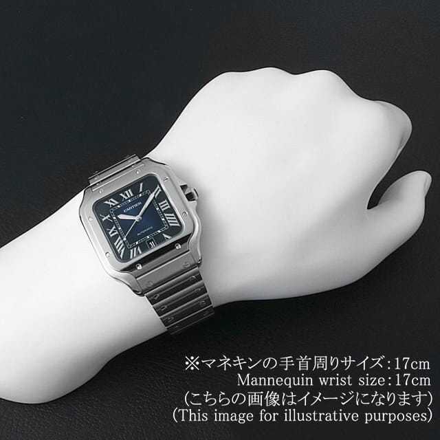 カルティエ サントス ドゥ カルテイエ LM WSSA0030 中古 メンズ 商品画像 6