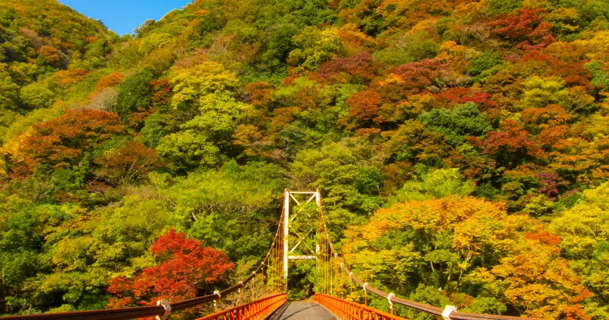 イメージ秋